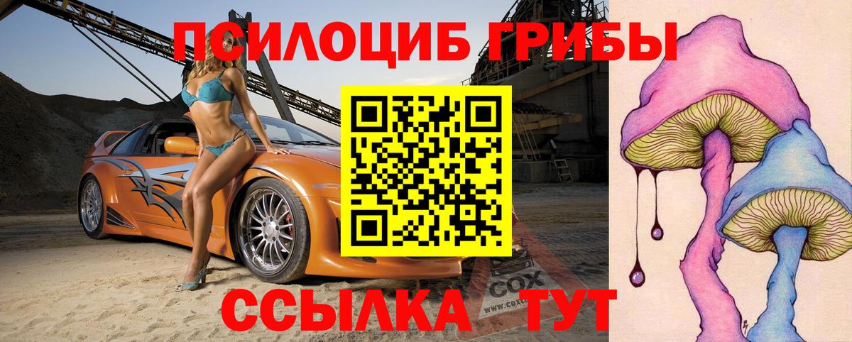 Псилоцибиновые грибы Cubensis Алейск